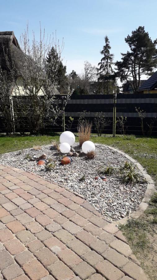 Ferienwohnung Born Am Darsswald Eg المظهر الخارجي الصورة